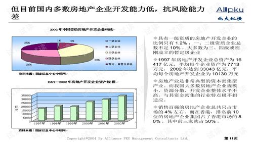 永大集團房地產(chǎn)行業(yè)分析報告 創(chuàng)業(yè)評估與戰(zhàn)略展望